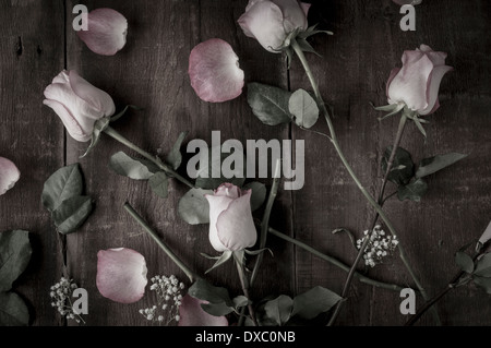 Desaturated arrangement of pink roses and baby's breath on rustic wood shot from above Stock Photo