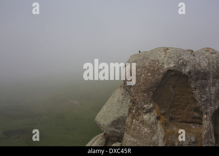 A crow sitting on elephant rock near Dillon Beach, California. Stock Photo