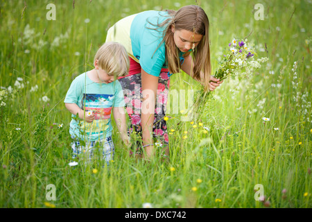 Family picking summer flowers in meadow Stock Photo