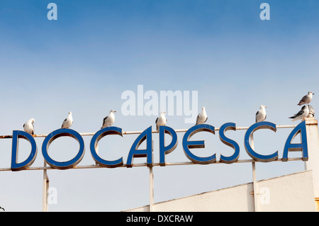 Docapesca sign with seagulls perched on it Stock Photo