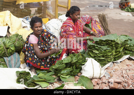 Tribal women selling leaf plates called patal made from jungle Saal leaves Munda tribe. Ranchi, Jharkhand, India Stock Photo