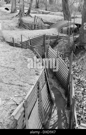 Restored British WW1 trench system at Sanctuary Wood, Hill 62, nr Ypres (Ieper), Belgium Stock Photo