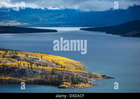 Bove Island, Tagish Lake, Yukon Territories, Canada Stock Photo