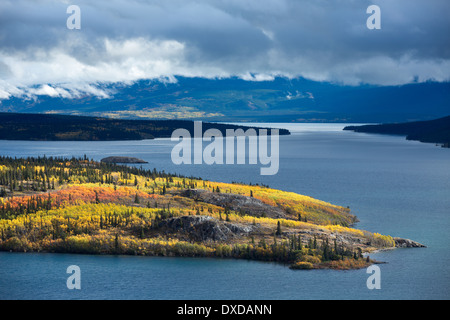 Bove Island, Tagish Lake, Yukon Territories, Canada Stock Photo