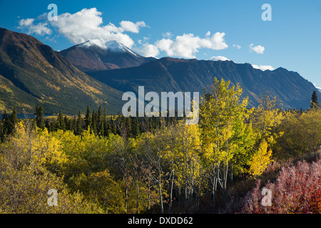 autumn colours on the South Klondike Highway nr Tagish Lake, with Escarpment Mountain, Yukon Territories, Canada Stock Photo