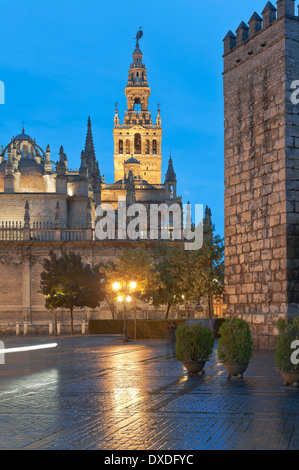 Cathedral Giralda and Royal Alcazar, Seville, Region of Andalusia, Spain, Europe Stock Photo