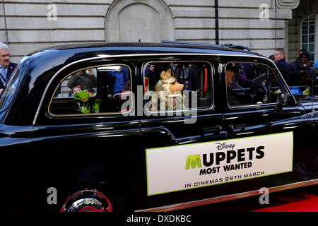 Mayfair, London, UK . 24th Mar, 2014. Constantine, Kermit and Miss Piggy arrive by Black Cab. The stars of 'Muppets Most Wanted' arrive at the Curzon Cinema in Mayfair for a VIP screening. Credit:  Rachel Megawhat/Alamy Live News Stock Photo