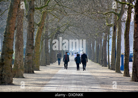 Sunny winter walk along tree lined wide path between the Mall and St James Park Stock Photo