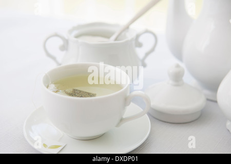 Cup of tea in porcelain white teacup with saucer, sugar bowl, and teapot, studio shot Stock Photo