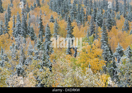 Autumn colour and the first snow on Dome Hill above Dawson City, Yukon Territories, Canada Stock Photo