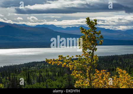 Dezadeash Lake, Yukon Territories, Canada Stock Photo
