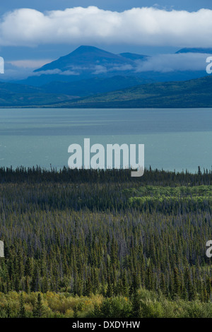Dezadeash Lake, Yukon Territories, Canada Stock Photo