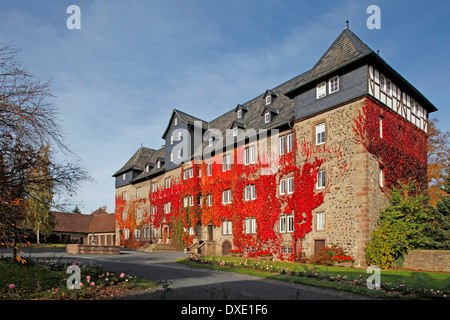 Castle, Lauterbach, district Vogelsbergkreis, Hesse, Germany Stock Photo