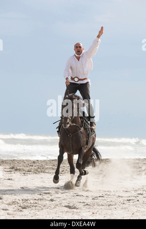 Pure Spanish Horse, Andalusian. Stunt-Man performing a stunt on a beach. Romania Stock Photo