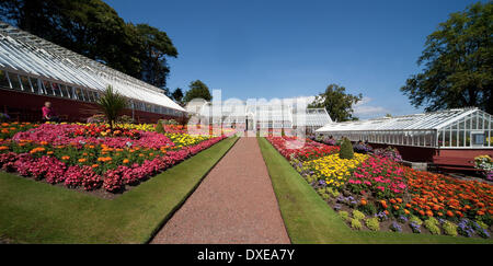 Ardencraig gardens, Rothesay, Isle of Bute, Argyll Stock Photo