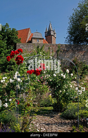 Rose garden and Spangenberg Castle, Spangenberg, Schwalm-Eder district, Hesse, Germany Stock Photo