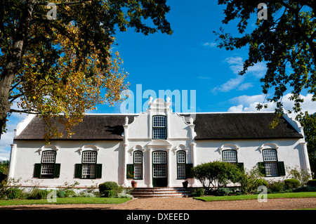 White manor house on a wine farm framed with autumn color leaves against a blue sky in the Western Cape, South Africa. Stock Photo