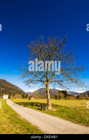 mountain road with a tree and a bench for a peaceful rest, in a warm spring day. the mountains are the Italian Dolomiti Stock Photo