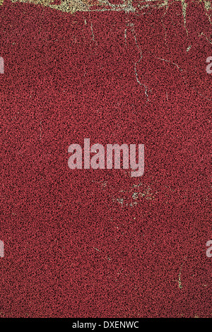 Abstract rough texture with red spots as background. Stock Photo