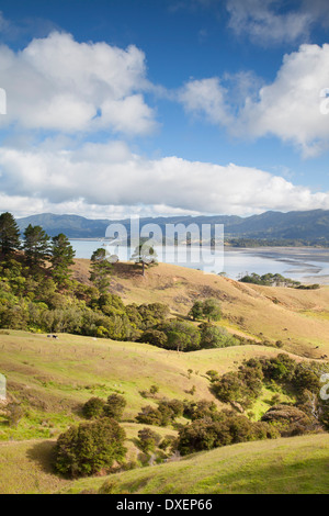 View of Manaia Harbour and farmland, Coromandel Peninsula, North Island, New Zealand Stock Photo