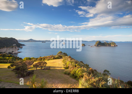 View of Cathedral Cove Marine Reserve (Te Whanganui-A-Hei), Coromandel Peninsula, North Island, New Zealand Stock Photo
