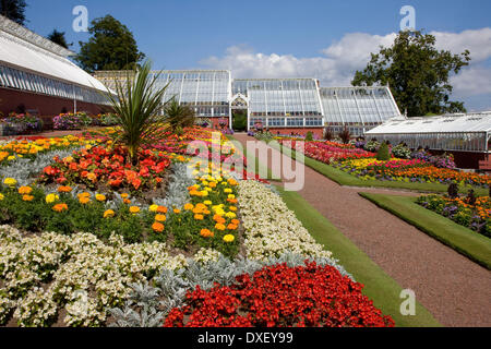 Ardencraig gardens, Rothesay, Isle of Bute, Argyll Stock Photo