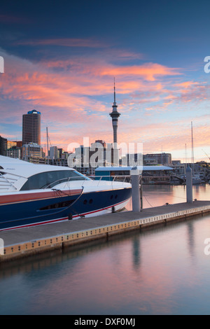 Sky Tower and Viaduct Harbour at sunset, Auckland, North Island, New Zealand Stock Photo