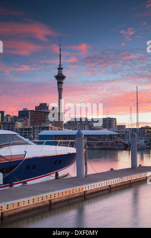 Sky Tower and Viaduct Harbour at sunset, Auckland, North Island, New Zealand Stock Photo