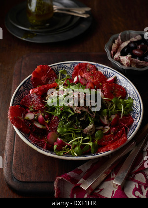 Blood Orange and Arugula Salad, Studio Shot Stock Photo