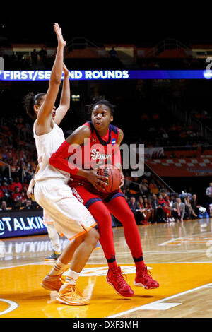 March 24, 2014 - Knoxville, TN, USA - March 24, 2014: St. John's Red Storm forward Amber Thompson (2) drives against Tennessee Lady Volunteers forward Cierra Burdick (11) in the first half of an NCAA women's college second-round tournament basketball game Monday, March 24, 2014, in Knoxville, Tenn. (Wade Payne/Cal Sport Media) Stock Photo