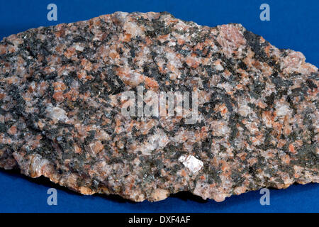 Specimen of Granodiorite igneous rock from loch Sunart ardnamurchan.Argyll