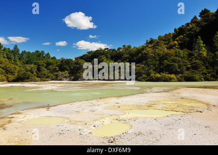 Frying Pan Flat, Wai-O-Tapu Thermal Wonderland, Bay of Plenty, North Island, New Zealand Stock Photo