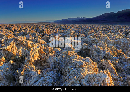 Devil's Golf Course, Death Valley National Park, California, USA / morning light Stock Photo