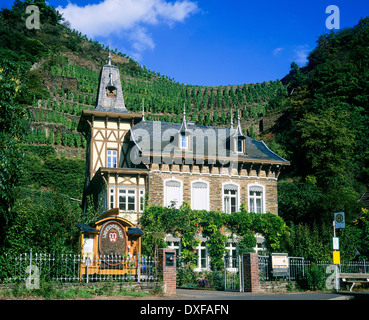 Wine grower house and vineyard Ahr valley Rhineland-Palatinate Germany Stock Photo