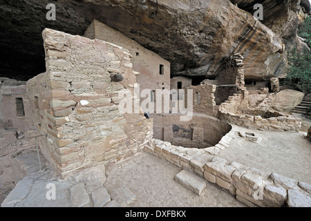 Spruce Tree House, cliff dwelling of native Americans, about 800 years old, Mesa Verde National Park, Colorado, USA Stock Photo