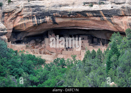 Cliff Palace, cliff dwelling of the Native American Indians, about 800 years old, Mesa Verde National Park, Colorado, USA Stock Photo