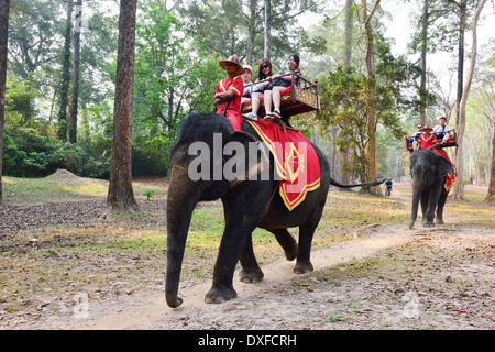 Two elephants carrying tourists ride on country path around the ruined temples of Cambodia’s famed Angkor Wat temple, Siem Reap, Stock Photo