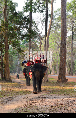 Two elephants carrying tourists ride on country path around the ruined temples of Cambodia’s famed Angkor Wat temple, Siem Reap, Stock Photo