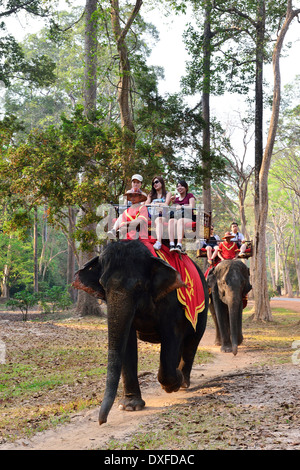 Two elephants carrying tourists ride on country path around the ruined temples of Cambodia’s famed Angkor Wat temple, Siem Reap, Cambodia Stock Photo