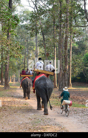 Two elephants carrying tourists ride on country path around the ruined temples of Cambodia’s famed Angkor Wat temple, Siem Reap, Stock Photo