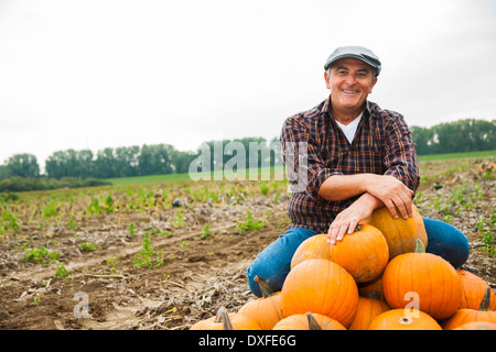 Farmer in field, next to pumpkin crop, Germany Stock Photo