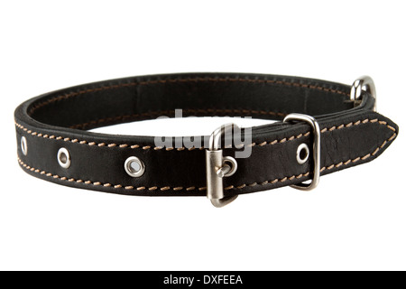 black leather dog collar Stock Photo