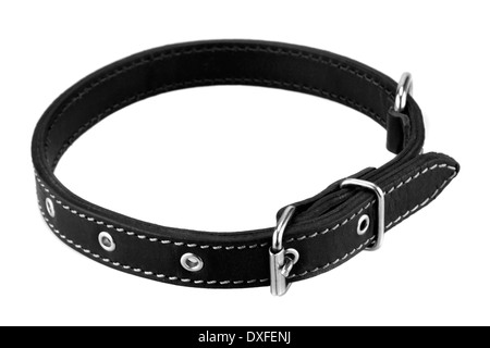 black leather dog collar Stock Photo