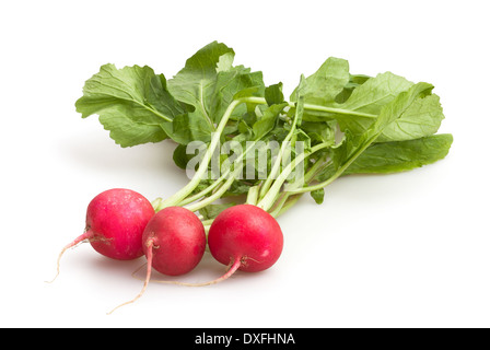 radish group isolated Stock Photo
