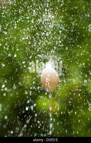 The egg as it dances, L'ou com balla, Corpus Christi Celebration, Celebración del Corpus Christi, Barcelona, Catalonia, Spain Stock Photo