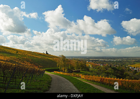 Vineyard Landscape, Ortenau, Baden Wine Route, Baden-Wurttemberg, Germany Stock Photo