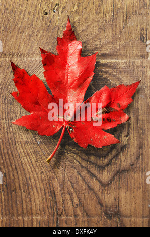 Close-up of Red Maple Leaf on old barn Board Stock Photo