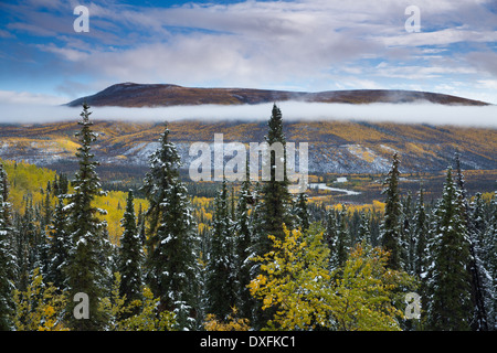 Autumn colours and the first snow in the Stewart River Valley, Yukon Territories, Canada Stock Photo