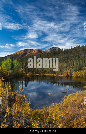 Autumn colours fringing the Dempster Highway, Yukon Territories, Canada ...