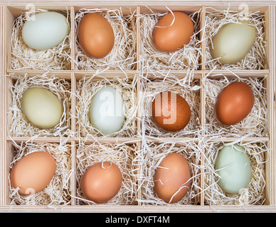 Assortment of different color, fresh, chicken eggs displayed in wood soda crate Stock Photo